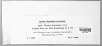 Image Associated With the Occurence